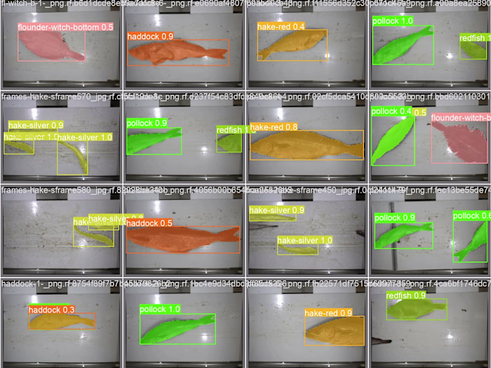 AI-Boosted Fish Discard Chute (Research Paper)