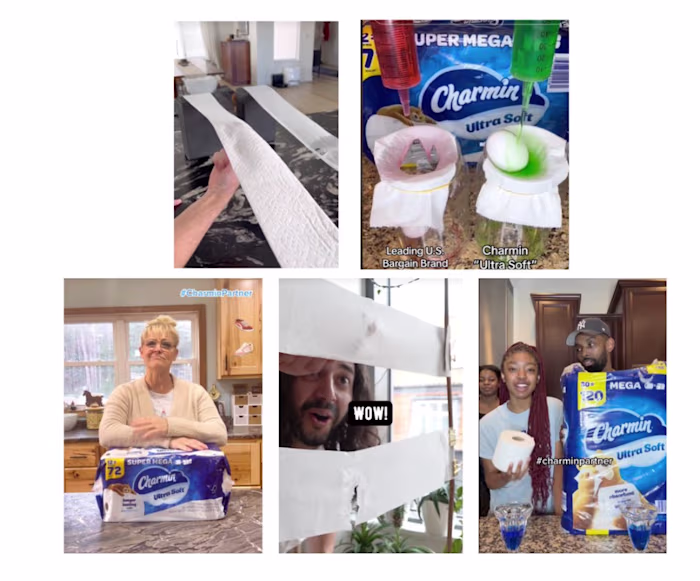 Charmin Hacks Influencer Campaign