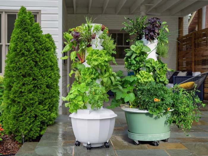 Grow Gardens Branding Strategy