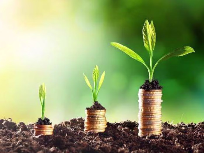 Digital Marketing Solutions for Brand Visibility and Growth.