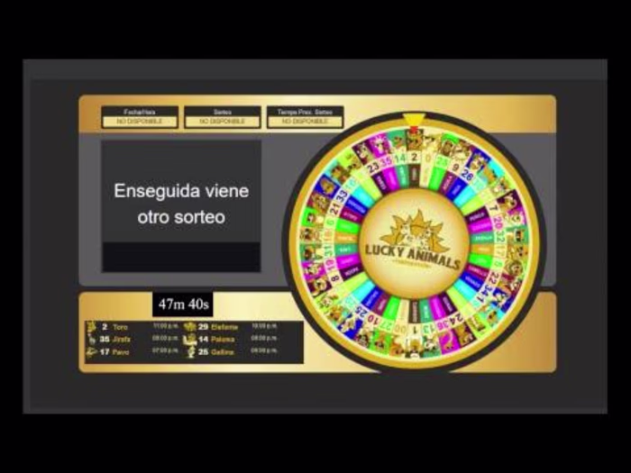 Full Stack Developer | Lucky Animalitos 