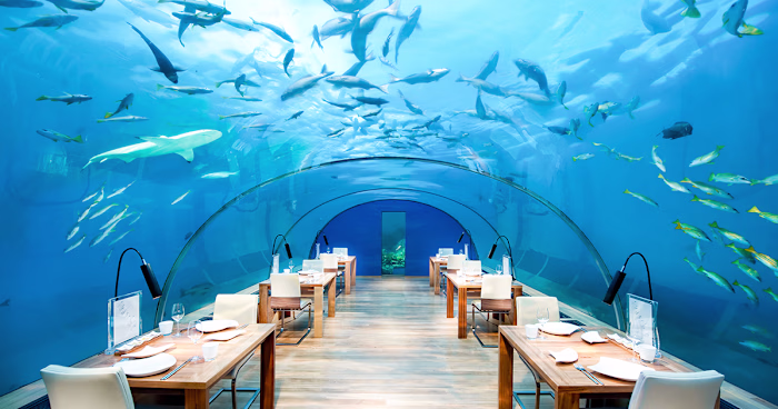 
Booking.com | Official site | The best hotels, flights, car re…