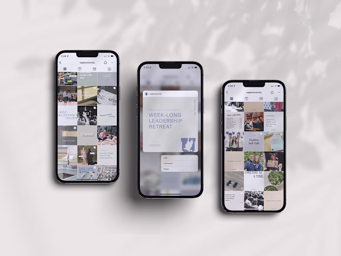 Eagle University | Social Media Management