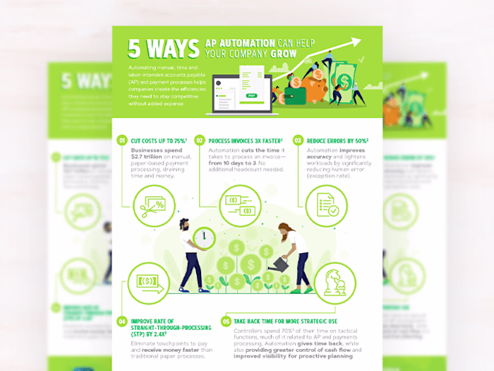 Infographic for Software Company 