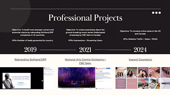 A rundown of big projects I have led, from technology to bea...