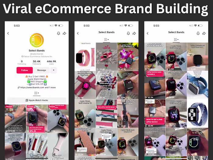 Social Media Viral Marketing Strategy for Select Bands