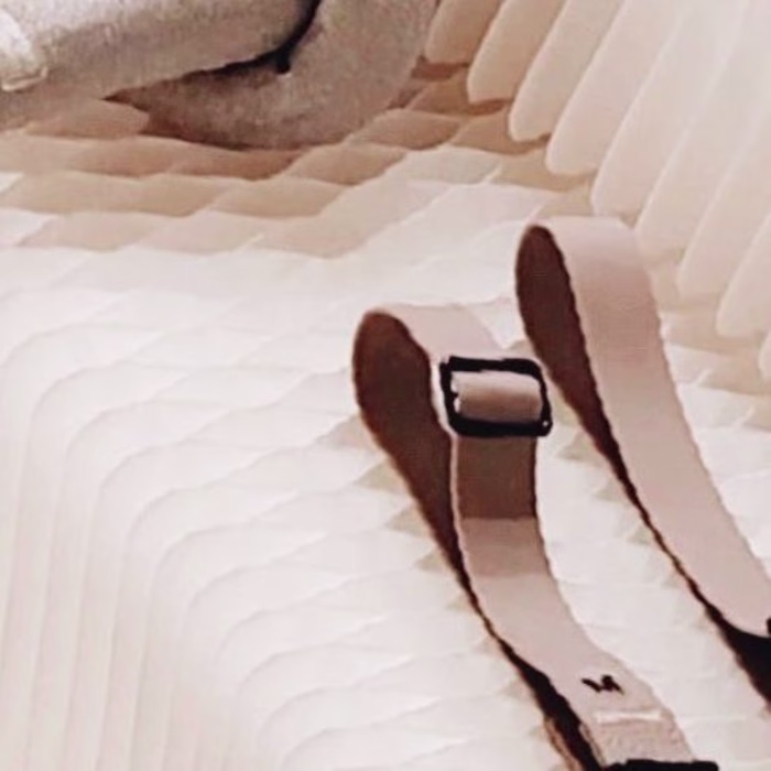 Content Creation for Haiwan (Malaysia)