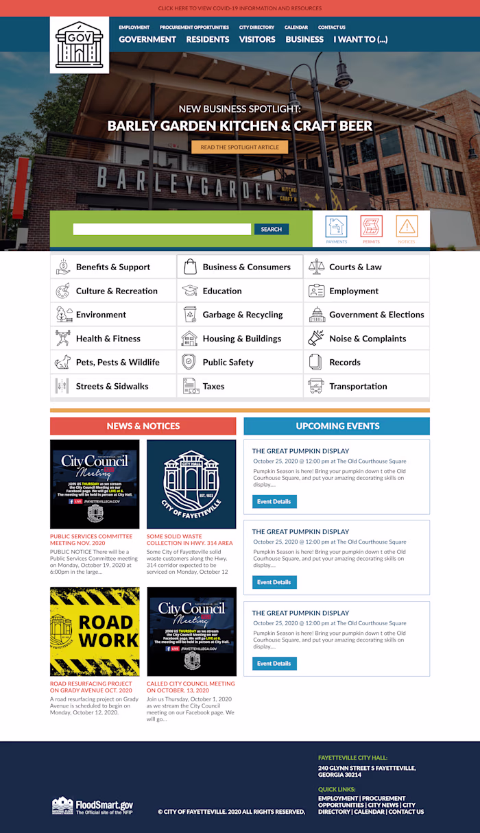 Government Website Design