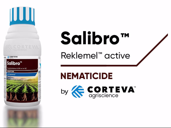 2D Product Animation & Promo