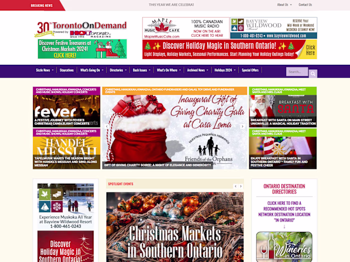 Dynamic Entertainment Website