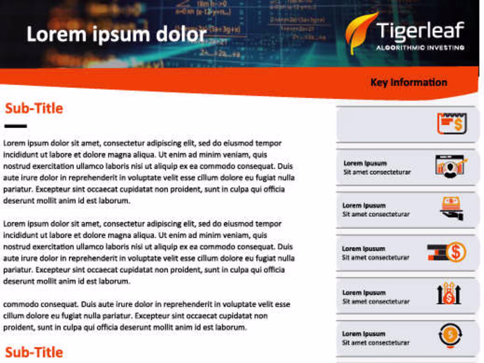 Investment Fund Marketing 2-Pager