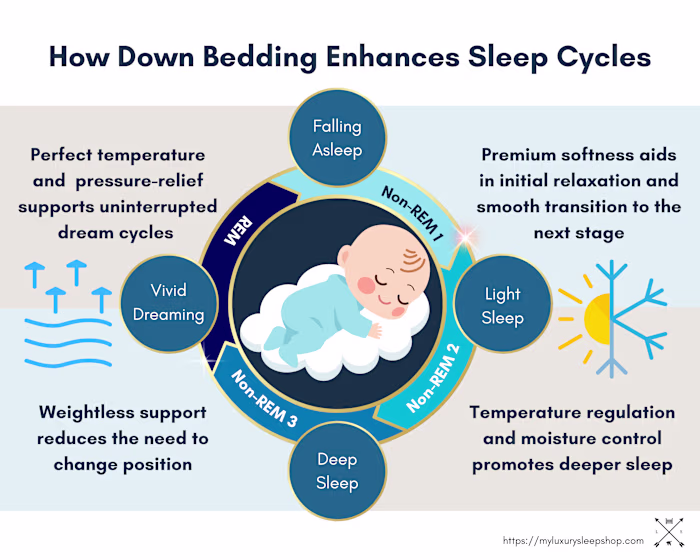 Content Writing, SEO, Web & Graphic Design, and Shopify Building