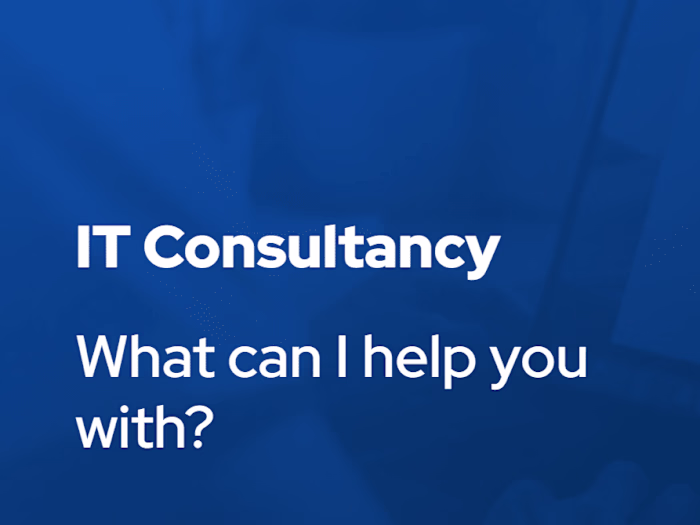 Development & IT Consultation