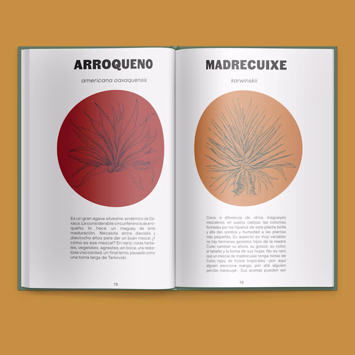 Unión Mezcal_ Book Design