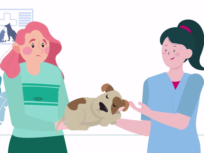 I will make custom explainer video from scratch