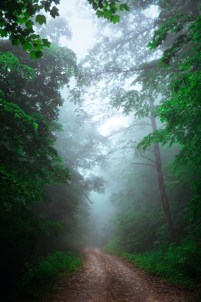 Photo Editing Portfolio