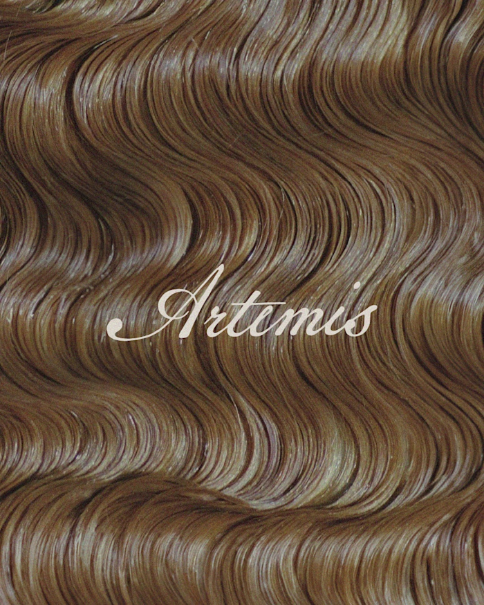 Artemis Hair Care Branding Design