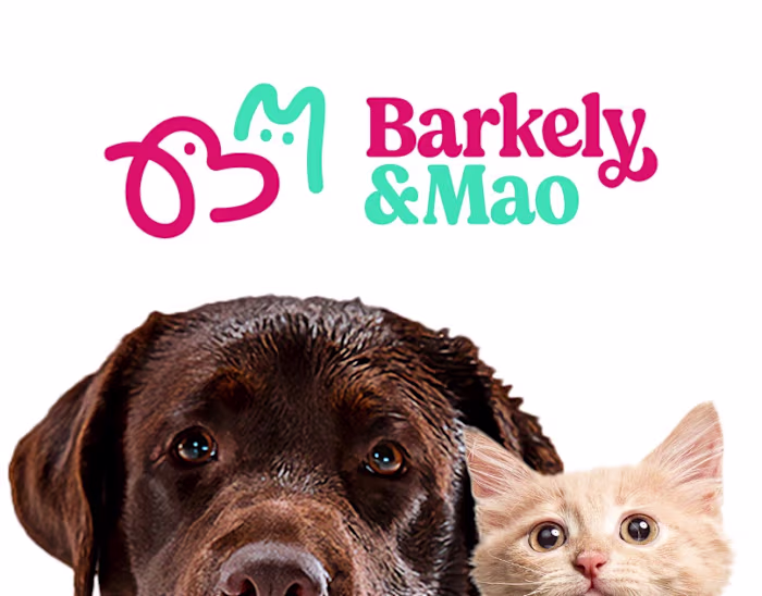 Barkely and Mao | Brand Identity