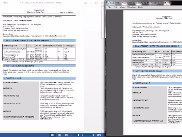 Microsoft Word document conversion, formatting and layout 