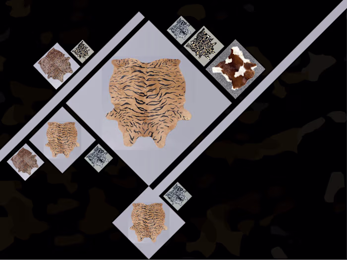 Broucher , stationary designs