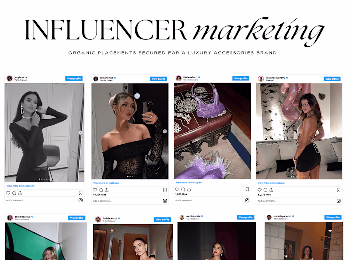 Influencer Marketing | Luxury Fashion Brand
