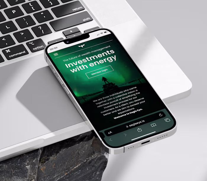 Eagle Eye  —  Website Development