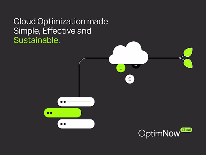 OptimNow -  Branding & Website Development