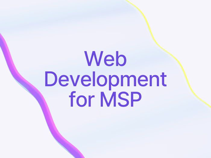 Web development for MSP