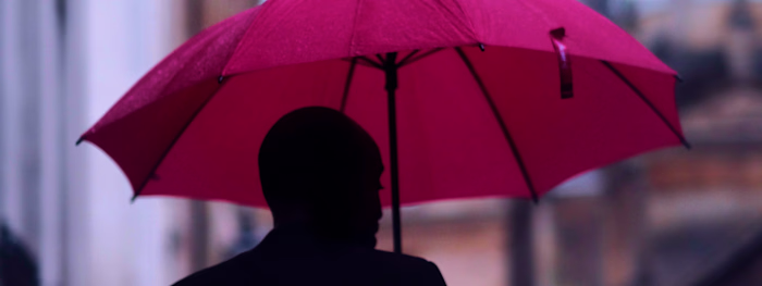 Vero | Intelligence Insurance Solutions (2020)