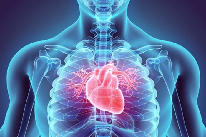 Understanding Cardiovascular Disease and Prevention