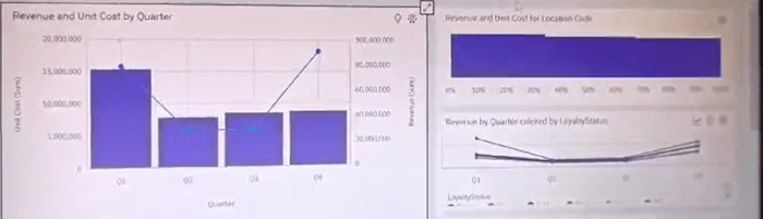 Customer Loyalty Program