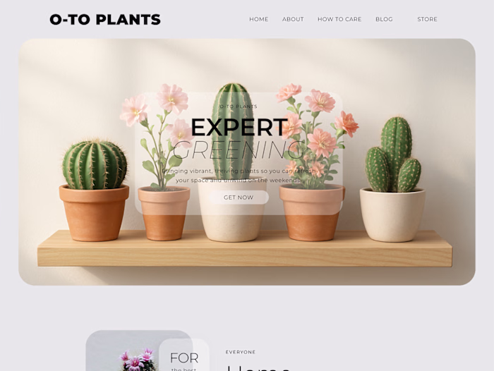 🌵 Plant Shop O-TO | Figma Design & Webflow Development