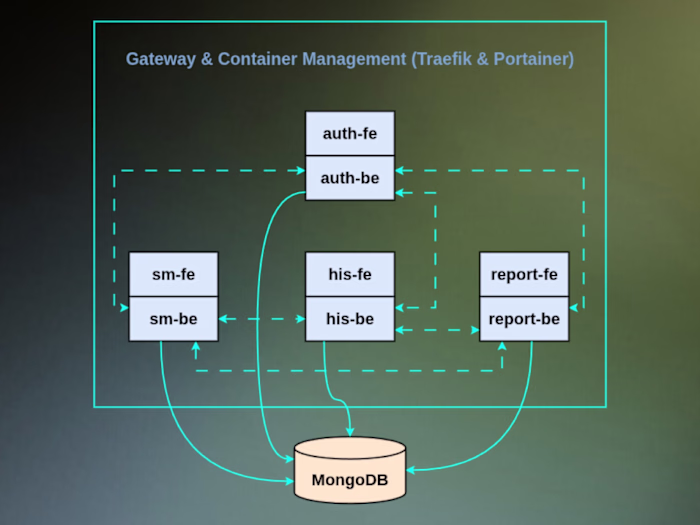 HIS: Architecting a Scalable Microservices System for Healthcare
