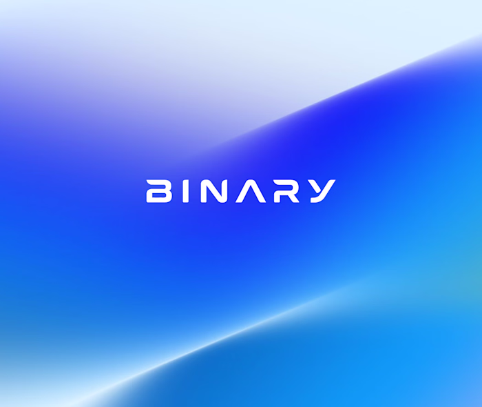Binary Logo Design for Cybersecurity
