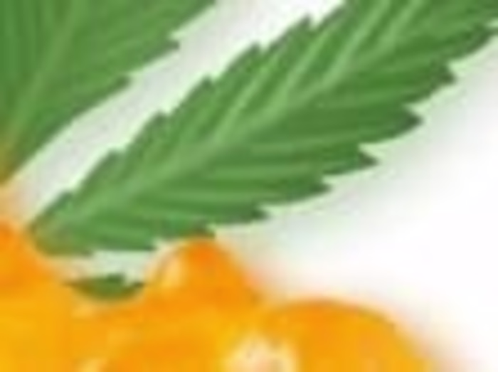 Venus CBD Gummies Reviews [Truth Exposed 2024]