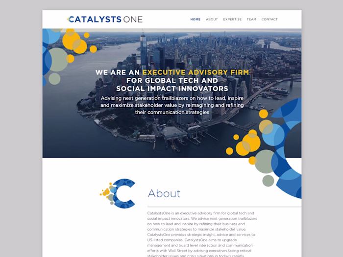 Corporate clean website for an advisory company