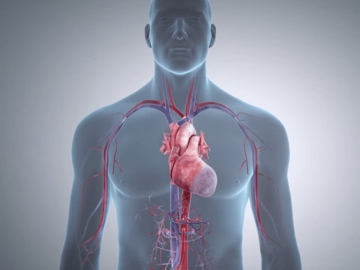 3D Medical Video - Complete 3D Production