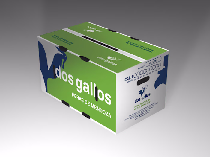 Packaging Design 