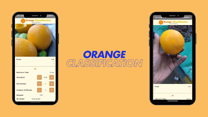 Orange Classification Android App: Real-Time Fruit Classificati…