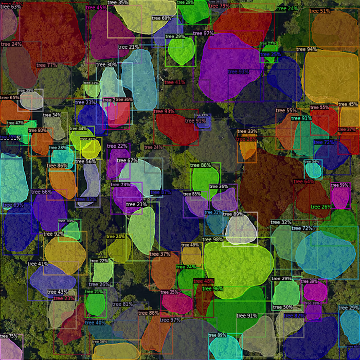 🌳 Tree Crown Detection, Done Right We built an AI system th...