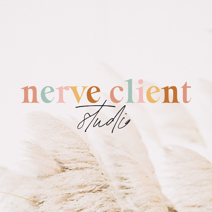 Nerve Client Studio Brand Design 