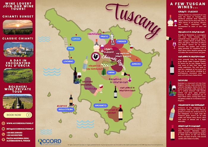 Head of Digital Marketing for Accord Italy Smart Tours 