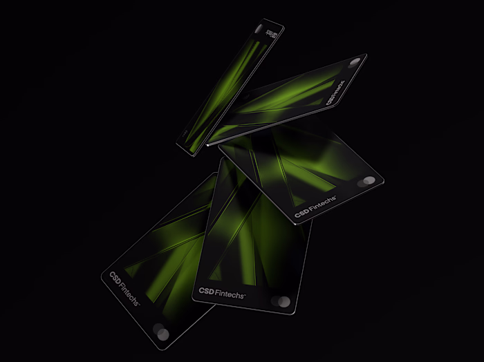 CSD Fintechs