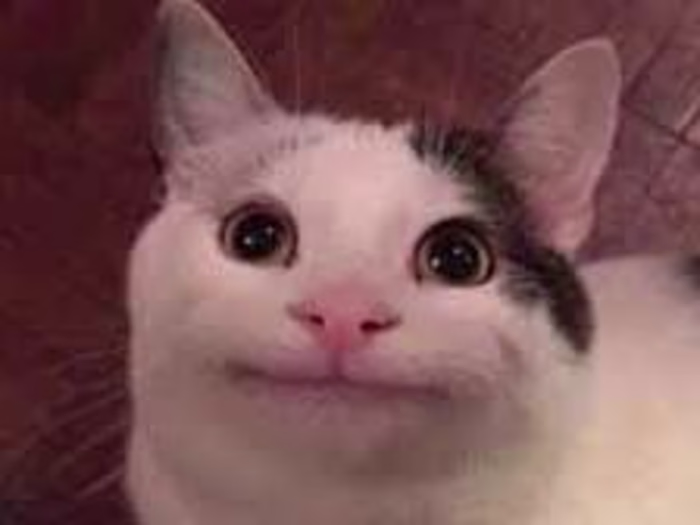 Check Out My Portfolio 