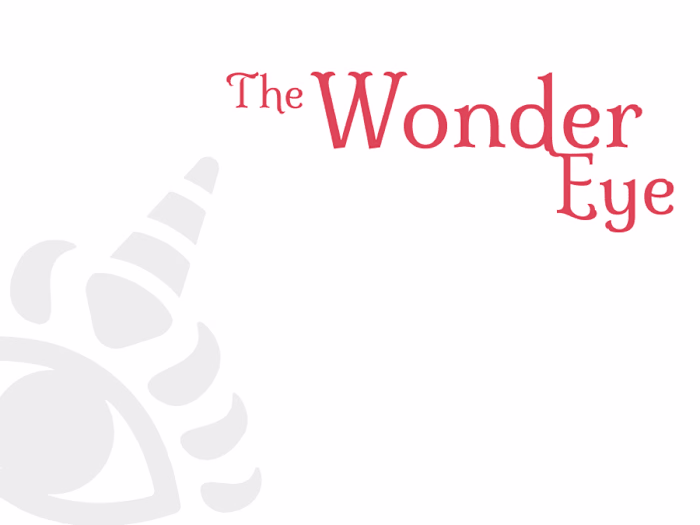 The Wonder Eye