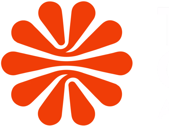 Tech Connect Africa - Website