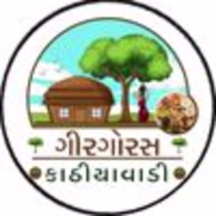 Girgoras Kathiyawdi | Open Terrace Restaurant (@girgoraskathiya…