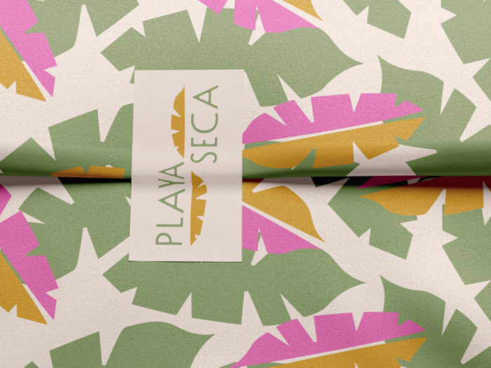 Playa Seca: Branding, Packaging + Web Design