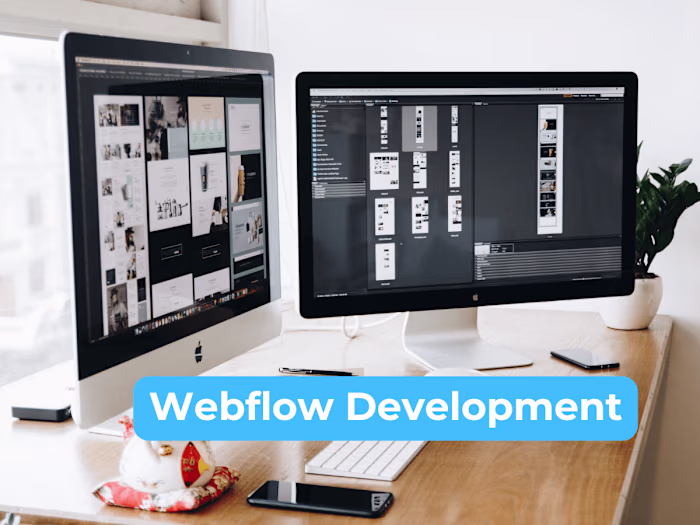 Water that changes your life - Webflow Development
