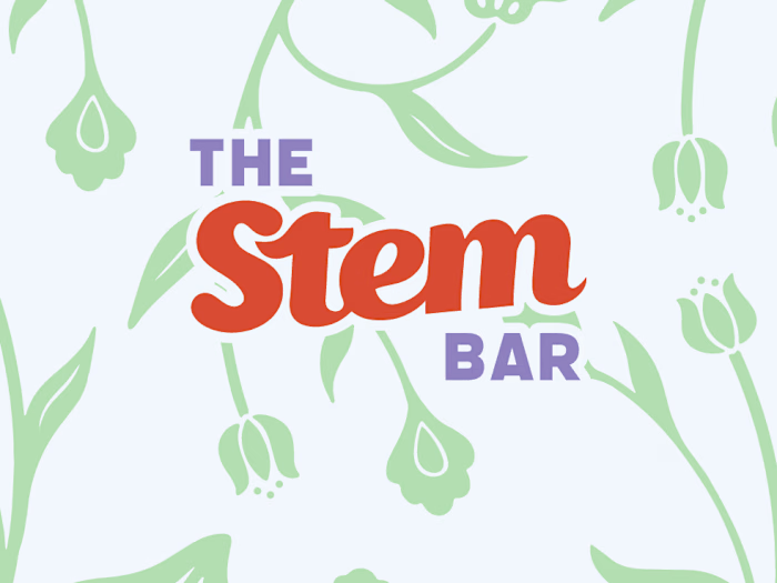 The Stem Bar | Branding